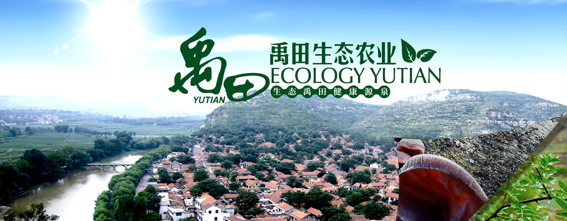 u型螺旋式輸送機(jī)主要用于輸送小顆粒狀、粉狀、小塊狀物料